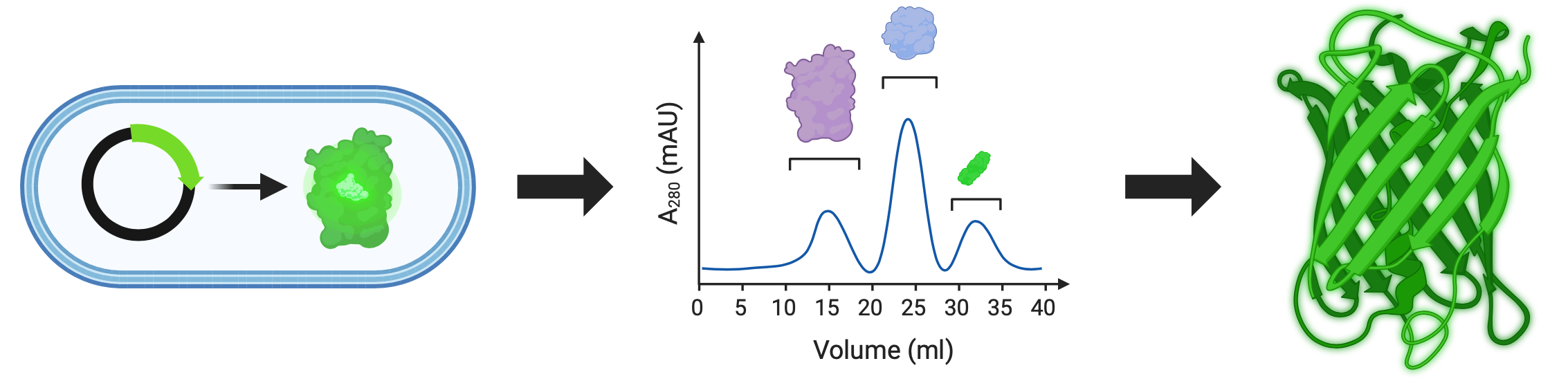 gene to structure image